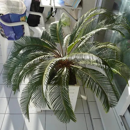 Séjour chez l'habitant Baie Des Anges *