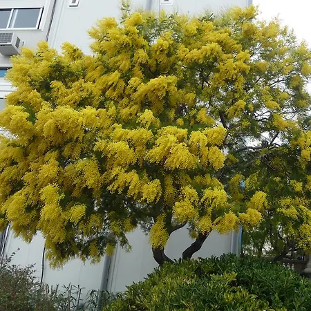 Privat bolig Baie Des Anges *